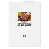 オレンジ赤ピーマン農家グリーティングカード (裏面)