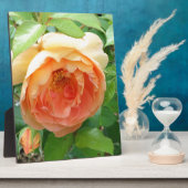 オレンジ赤面バラ フォトプラーク (側面)