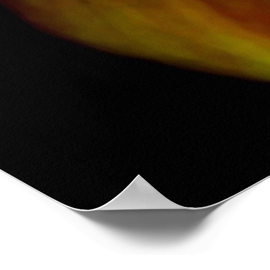 オレンジ開花 ポスター (角)