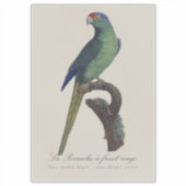 オレンジ額羽インコ, Eupsittula Canicularis シール (正面)