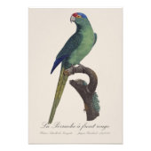 オレンジ額羽インコ, Eupsittula Canicularis フォトプリント (正面)
