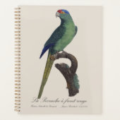 オレンジ額羽インコ, Eupsittula Canicularis プランナー手帳 (正面)