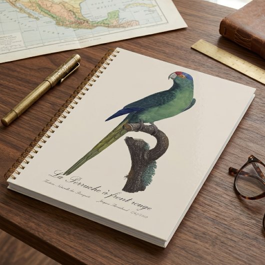 オレンジ額羽インコ, Eupsittula Canicularis プランナー手帳