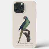オレンジ額羽インコ, Eupsittula Canicularis Case-Mate iPhoneケース (裏面)