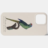 オレンジ額羽インコ, Eupsittula Canicularis Case-Mate iPhoneケース (裏面 (横))