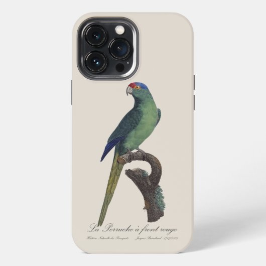 オレンジ額羽インコ, Eupsittula Canicularis iPhoneケース (裏面)