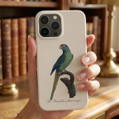 オレンジ額羽インコ, Eupsittula Canicularis iPhoneケース