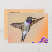 オレンジ飛んでいると紫を見るハミングバード ポストカード (正面/裏面)