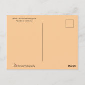 オレンジ飛んでいると紫を見るハミングバード ポストカード (裏面)