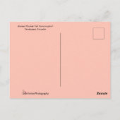 オレンジ食べ物を与え色の花の上の緑のハミングバード ポストカード (裏面)