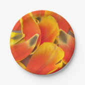 オレンジ鮮やかのチューリップ花びら写真 ペーパープレート (正面)