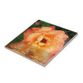 オレンジ黄色バラの花 タイル (側面)