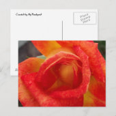 オレンジ&イエローローズポストカード ポストカード (正面/裏面)