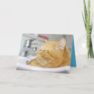 オレンジ キティー 猫 かわいい オーダーメイド カード