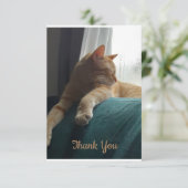 オレンジ・キャット サンキューカード (スタンド正面)