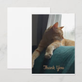 オレンジ・キャット サンキューカード (正面/裏面)
