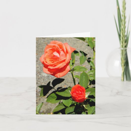 オレンジ・サンシャイン….. カード (正面)