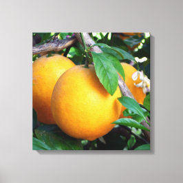 オレンジ – タンジェロ キャンバスプリント