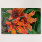 オレンジ・デイリリー・カナダの花の写真 ジグソーパズル (横)