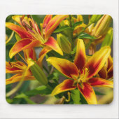オレンジ・デイリリー・カナダの花の写真 マウスパッド (正面)