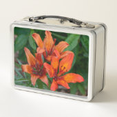 オレンジ・デイリリー・カナダの花の写真 メタルランチボックス (裏面)