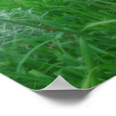 オレンジ・デイリリー ポスター (角)