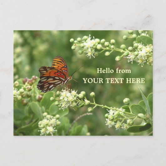 オレンジ・バカスタマイズタフライ「Hello from」はがき ポストカード (正面)