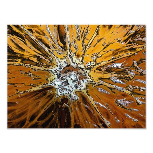 オレンジ フォトプリント            (正面)