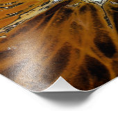 オレンジ フォトプリント            (角)