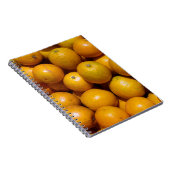 オレンジ・フルーツフロリダ市場オレンジ ノートブック (右側)