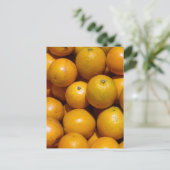 オレンジ・フルーツフロリダ市場オレンジ ポストカード (スタンド正面)