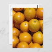 オレンジ・フルーツフロリダ市場オレンジ ポストカード (正面/裏面)