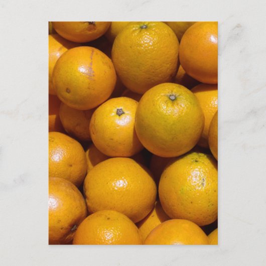 オレンジ・フルーツフロリダ市場オレンジ ポストカード (正面)