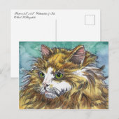 オレンジ&ホワイト長毛猫 ポストカード (正面/裏面)