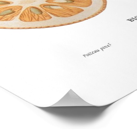 オレンジ ポスター (角)