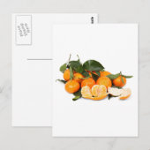 オレンジ ポストカード (正面/裏面)