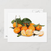 オレンジ ポストカード (正面/裏面)
