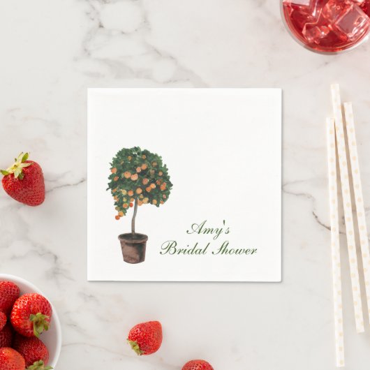 オレンジ メイン スクイーズ ペーパーナプキン スタンダードカクテルナプキン (インサイチュ)