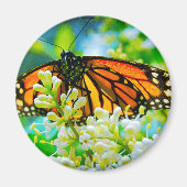 オレンジ(昆虫)オオカバマダラ、モナークバタフライはっきりしたモダンスタイリッシュ写真 マグネット (正面)