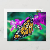 オレンジ(昆虫)オオカバマダラ、モナークバタフライフォトエクスプローラスタイリッシュ ポストカード (正面/裏面)