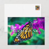 オレンジ（昆虫）オオカバマダラ、モナークバタフライフォトエクスプローラスタイリッシュ ポストカード (正面/裏面)