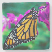 オレンジ(昆虫)オオカバマダラ、モナーク蝶フォトパープルはっきりした花 ストーンコースター (正面)