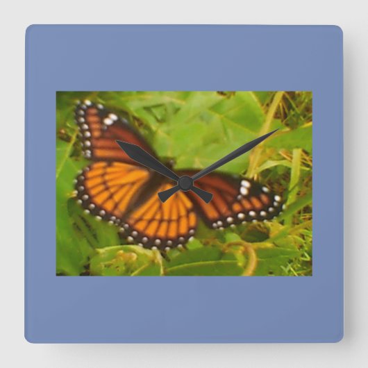 オレンジ（昆虫）オオカバマダラ、モナーク スクエア壁時計 (正面)