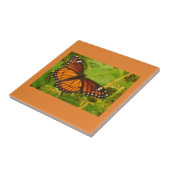 オレンジ（昆虫）オオカバマダラ、モナーク タイル (側面)