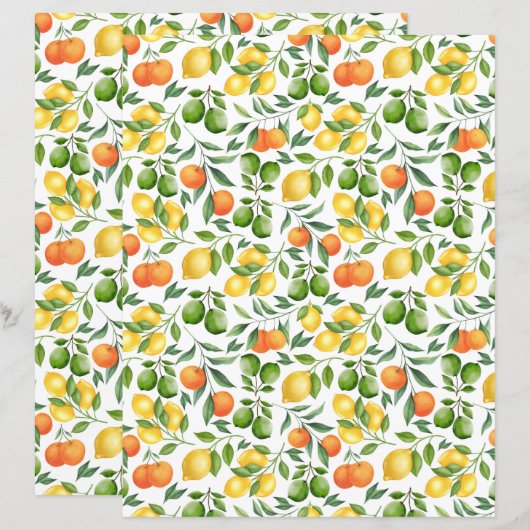 オレンジ 果物 スクラップブッキング ペーパー (正面/裏面)