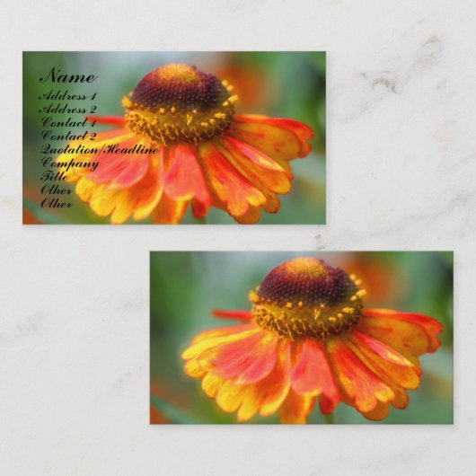 オレンジ《植物》百日草のフラワー写真名刺 名刺 (正面/裏面)
