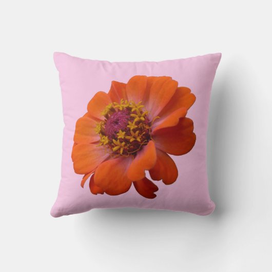 オレンジ《植物》百日草ワイルドフラワー自然フローラ クッション (裏面)