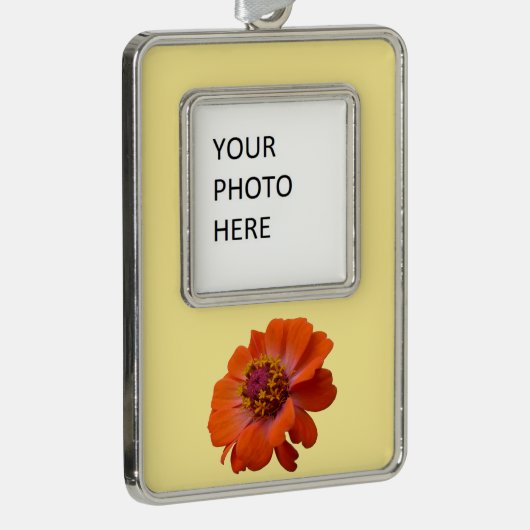 オレンジ《植物》百日草ワイルドフラワー自然フローラ シルバープレートフレームオーナメント (右)