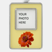 オレンジ《植物》百日草ワイルドフラワー自然フローラ シルバープレートフレームオーナメント (正面)