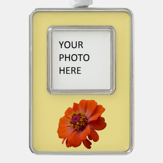 オレンジ《植物》百日草ワイルドフラワー自然フローラ シルバープレートフレームオーナメント (正面)